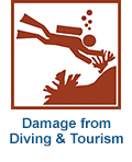 Damage caused by harmful diving & tourism practices