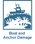 Boat groundings & anchor damage