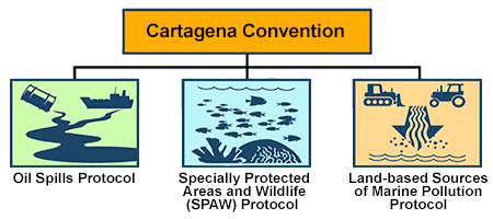 Cartagena Convention chart