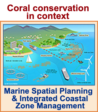 Caribbean coral reef legislation