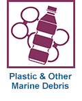 Marine debris, trash, & plastic