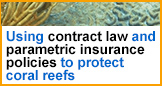 Using contract law andparametric insurancepolicies to protect coral reefs