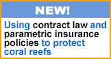 Using contract law andparametric insurancepolicies to protect coral reefs
