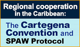 The Cartegena Convention and SPAW Protocol