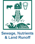 Sewage and fertilizer runoff