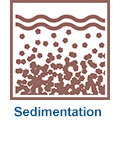 Sedimentation