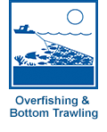 Overfishing & bottom trawling