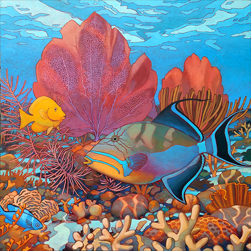 Queen Triggerfish with Sea Fans